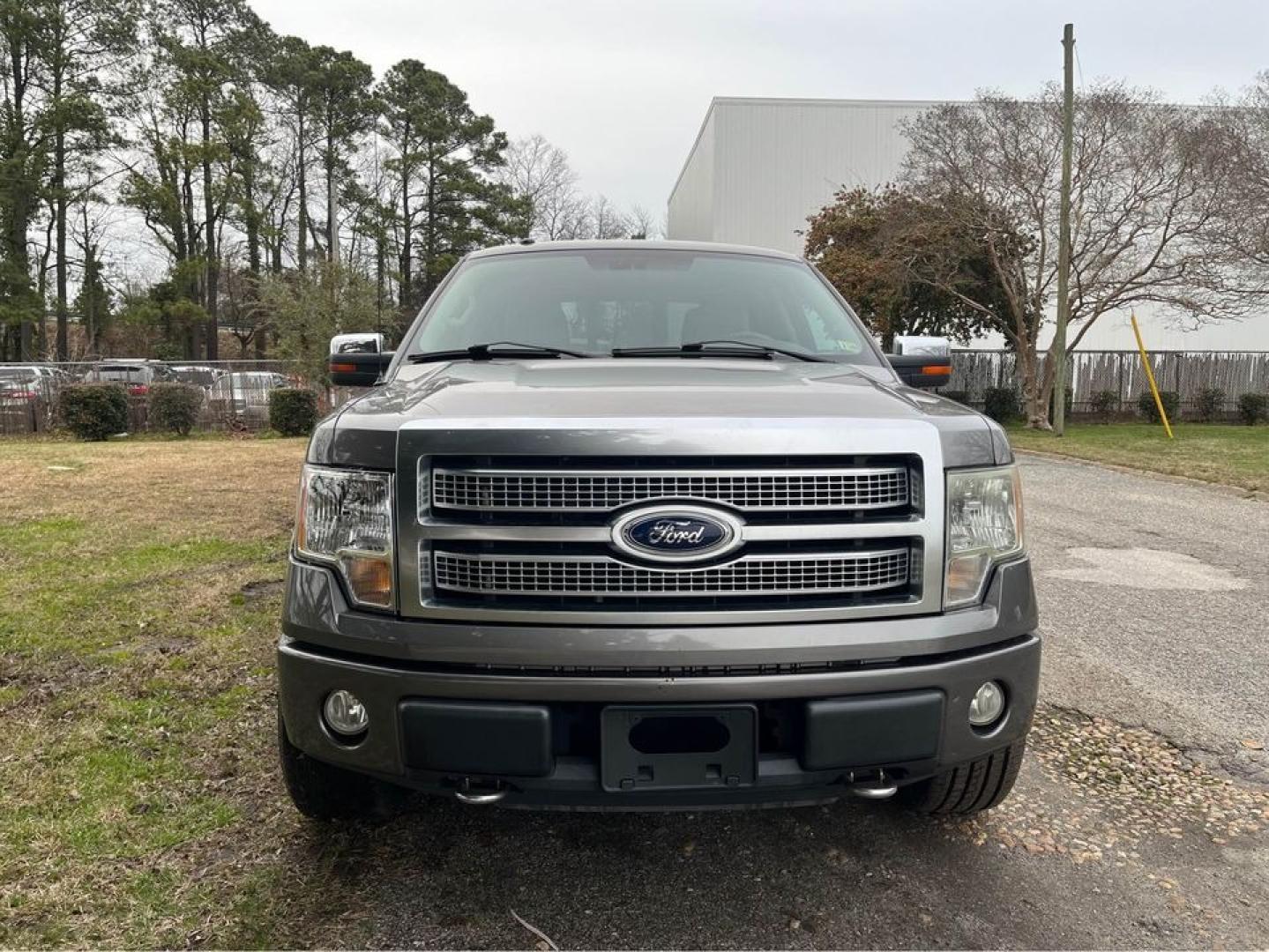 2010 Grey /Gray Ford F-150 Platinum (1FTFW1EV2AF) with an 5.4 V8 engine, Automatic transmission, located at 5700 Curlew Drive, Norfolk, VA, 23502, (757) 455-6330, 36.841885, -76.209412 - -2010 Ford F150 Platinum 4x4 -Loaded with all the options -Two tone interior -Heated/cooled seats -Back up camera -Premium sound -Bluetooth -Many more options not listed -4 brand new tires -Fresh oil change -New state inspection -Ready for a new owner -VADLR - Photo#6